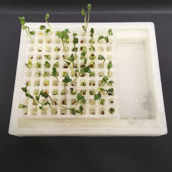 Germinar semillas con un contenedor impreso en 3D