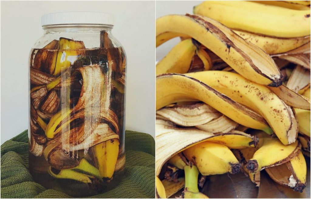 Cómo hacer fertlizante orgánico con cáscaras de plátanos