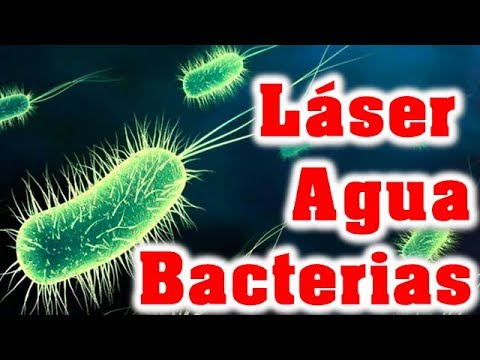 Analizar bacterias con láser en un microscopio casero